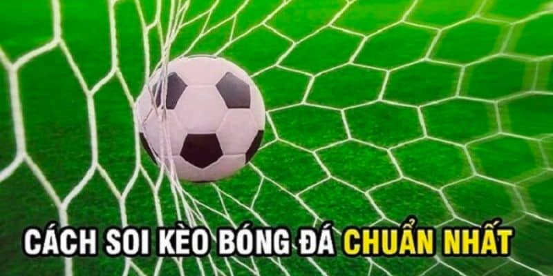 Kèo Cá Cược Hôm Nay - Đặt Cược Không Giới Hạn Tại Vin777 6 Điểm danh các kèo cá cược hôm nay cực hot