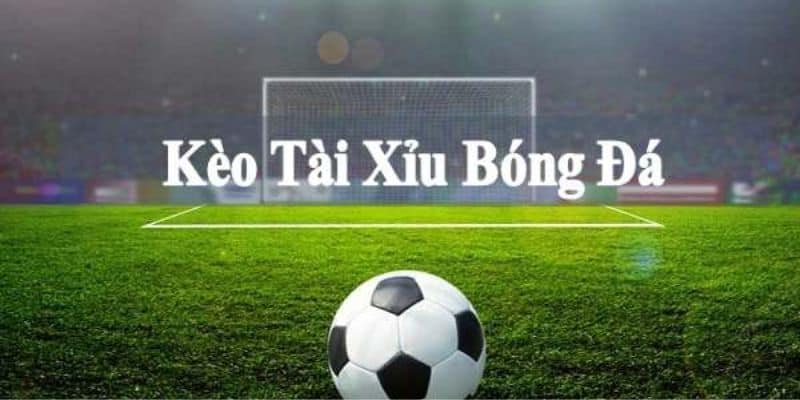 Tài Xỉu Bóng Đá | Bật Mí Chơi Cá Độ Bóng Đá Dành Thẳng Lớn 7 Cách thức tham gia cá cược tại nhà cái Vin777